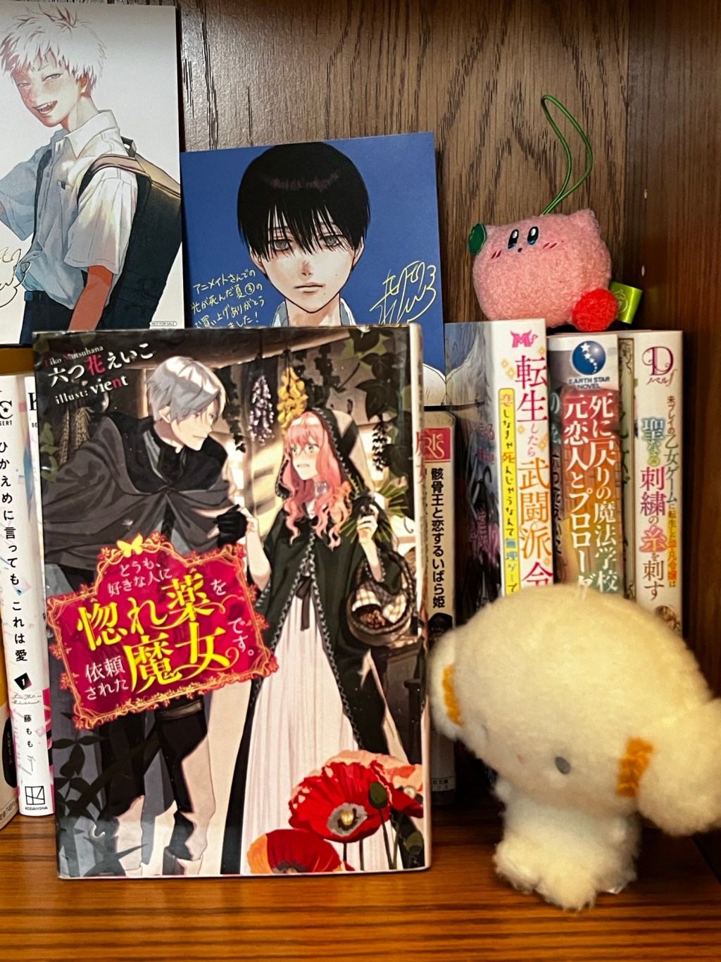 Hello, I am a witch and my crush wants me to make a love potion book&nbsp;review