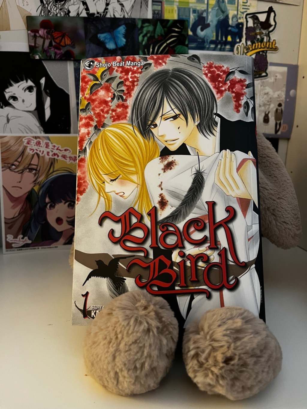 Black Bird : Shoujo Manga&nbsp;Introduction