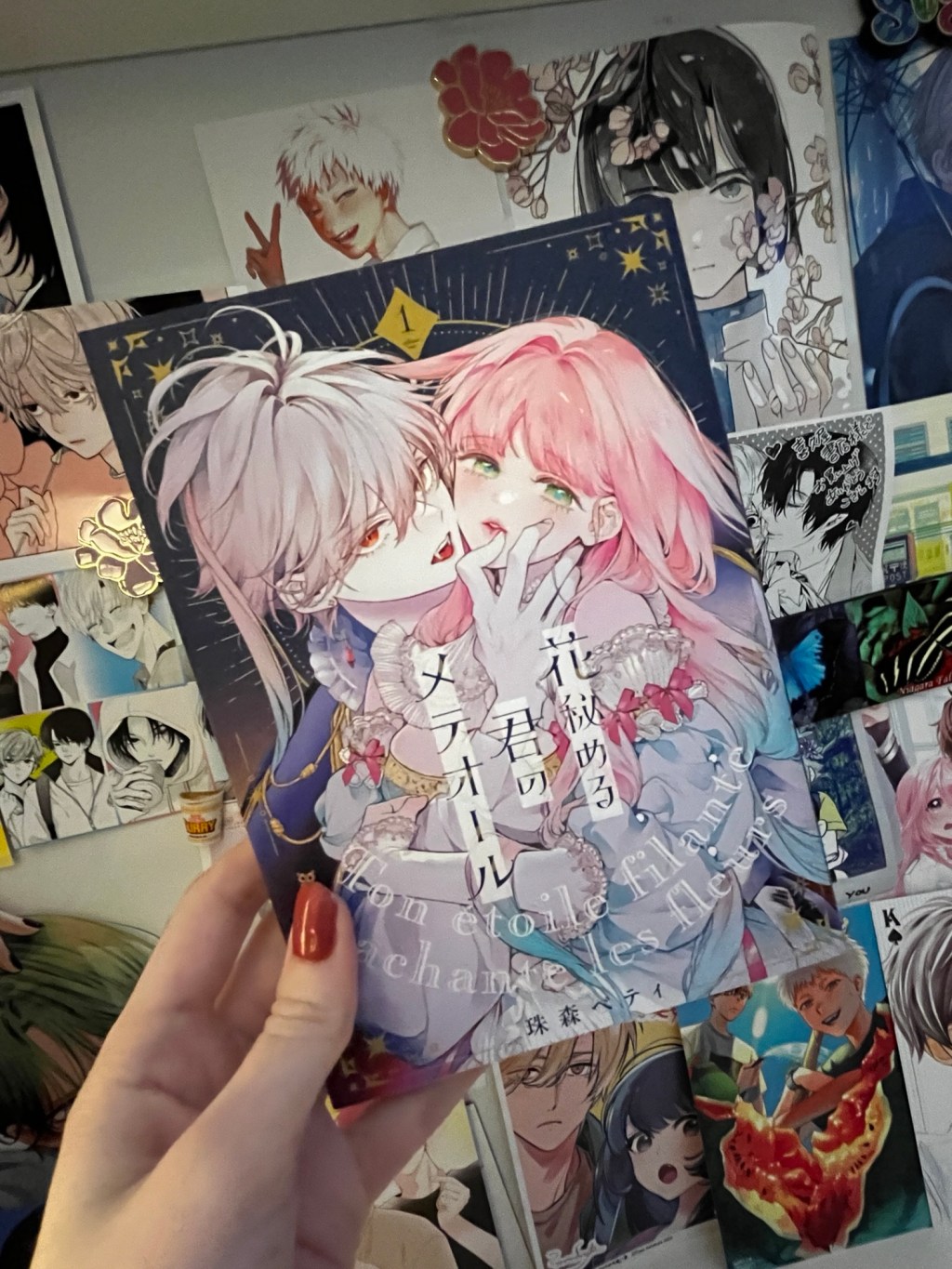 Hanahimeru Kimi no Meteor: Volume 1&nbsp;Review