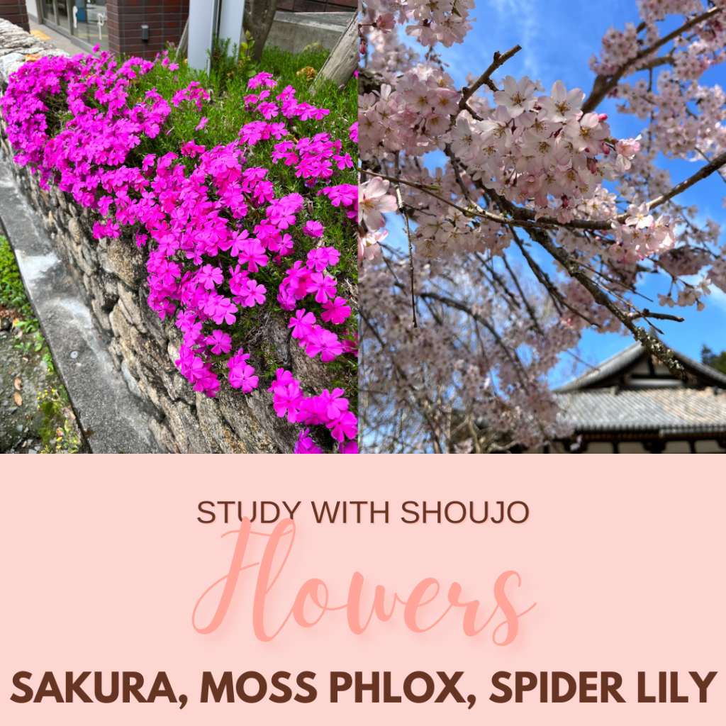 How do I say… in Japanese? Let’s Talk Flowers Part&nbsp;3!