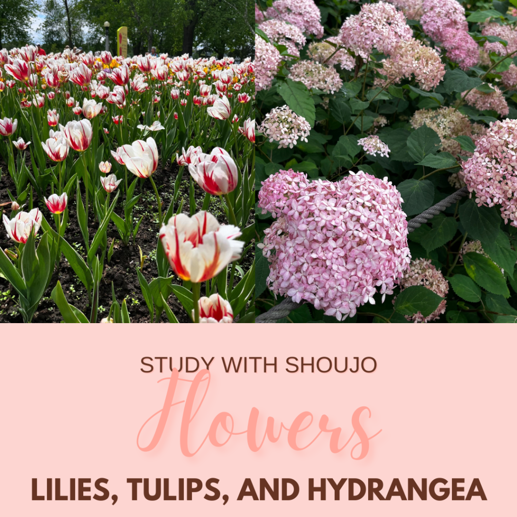 How do I say… in Japanese? Let’s Talk&nbsp;Flowers!