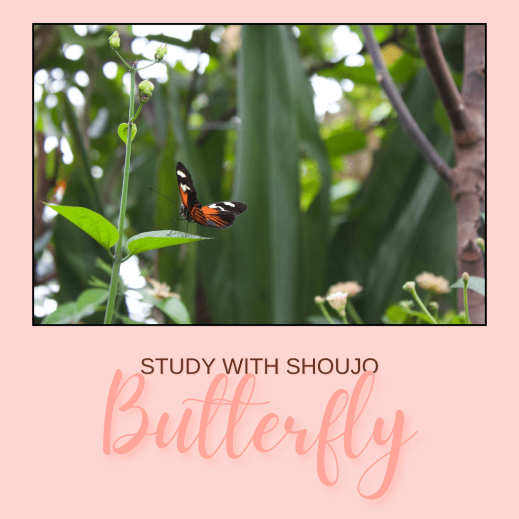 How do I say… in Japanese? Let’s Talk&nbsp;Butterflies!