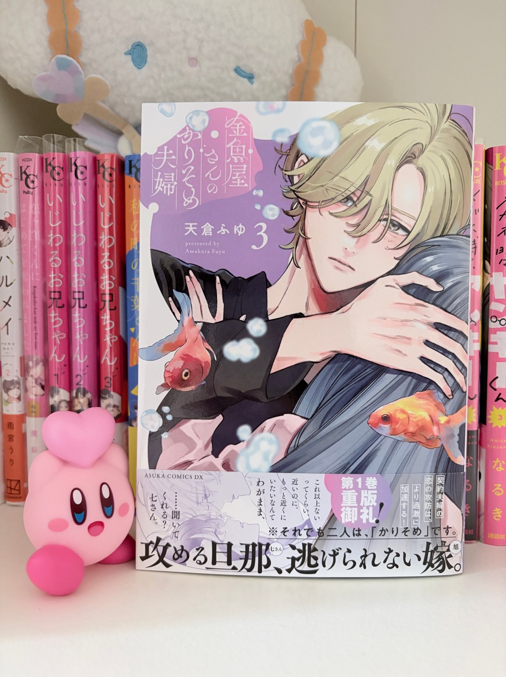 Kingyoyasan no Karisome Fuufu / 金魚屋さんのかりそめ夫婦, Volume Three Manga&nbsp;Review