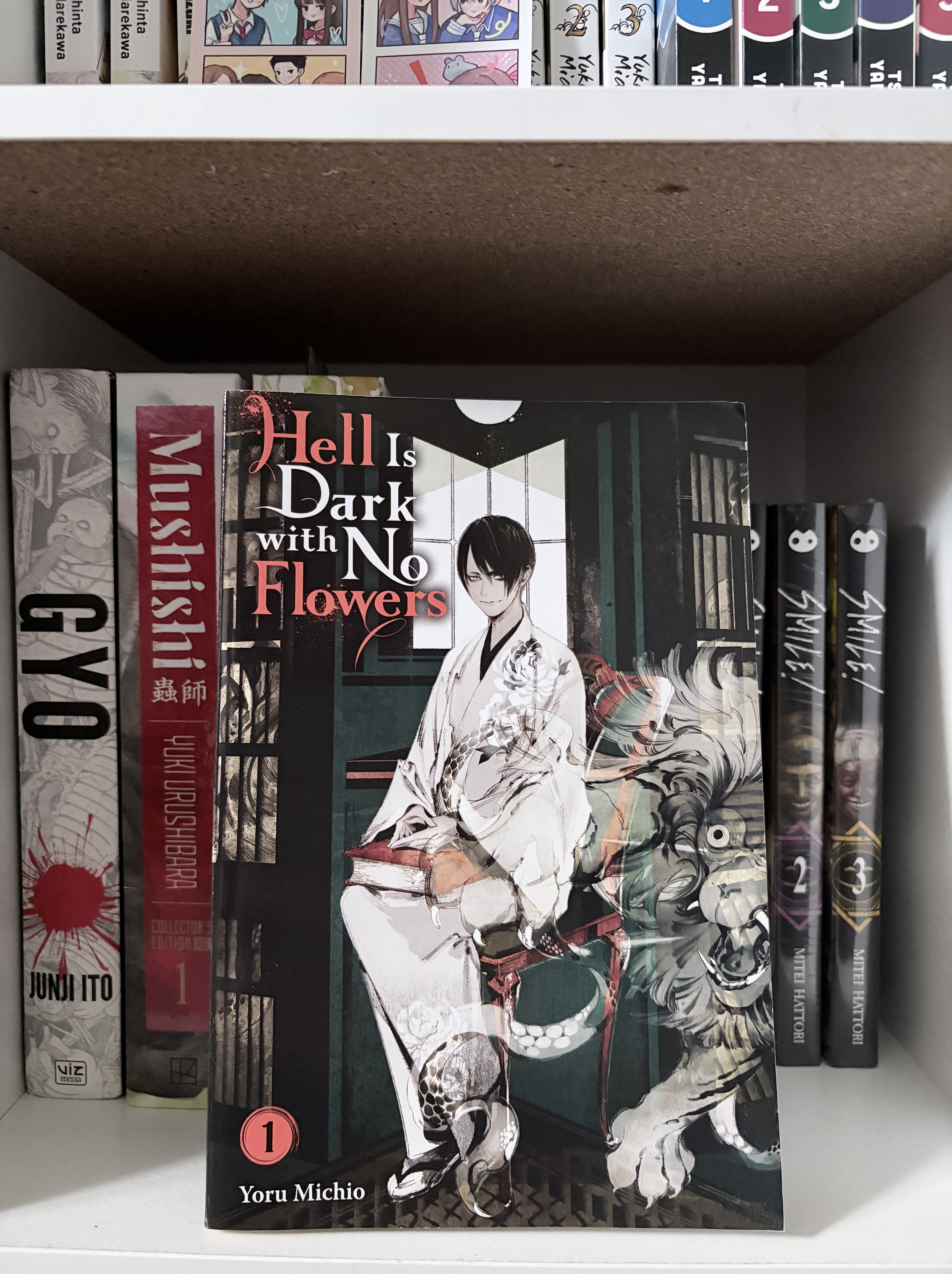 Hell is Dark With no Flowers, Volume One Light Novel Review