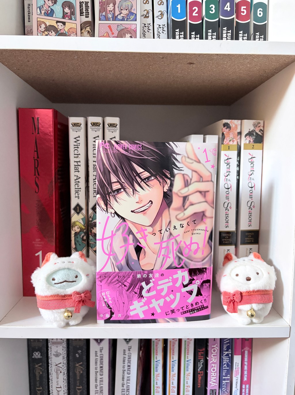 Suki tte Ienakute Shinu / 好きっていえなくて死ぬ, Volume One Manga&nbsp;Review