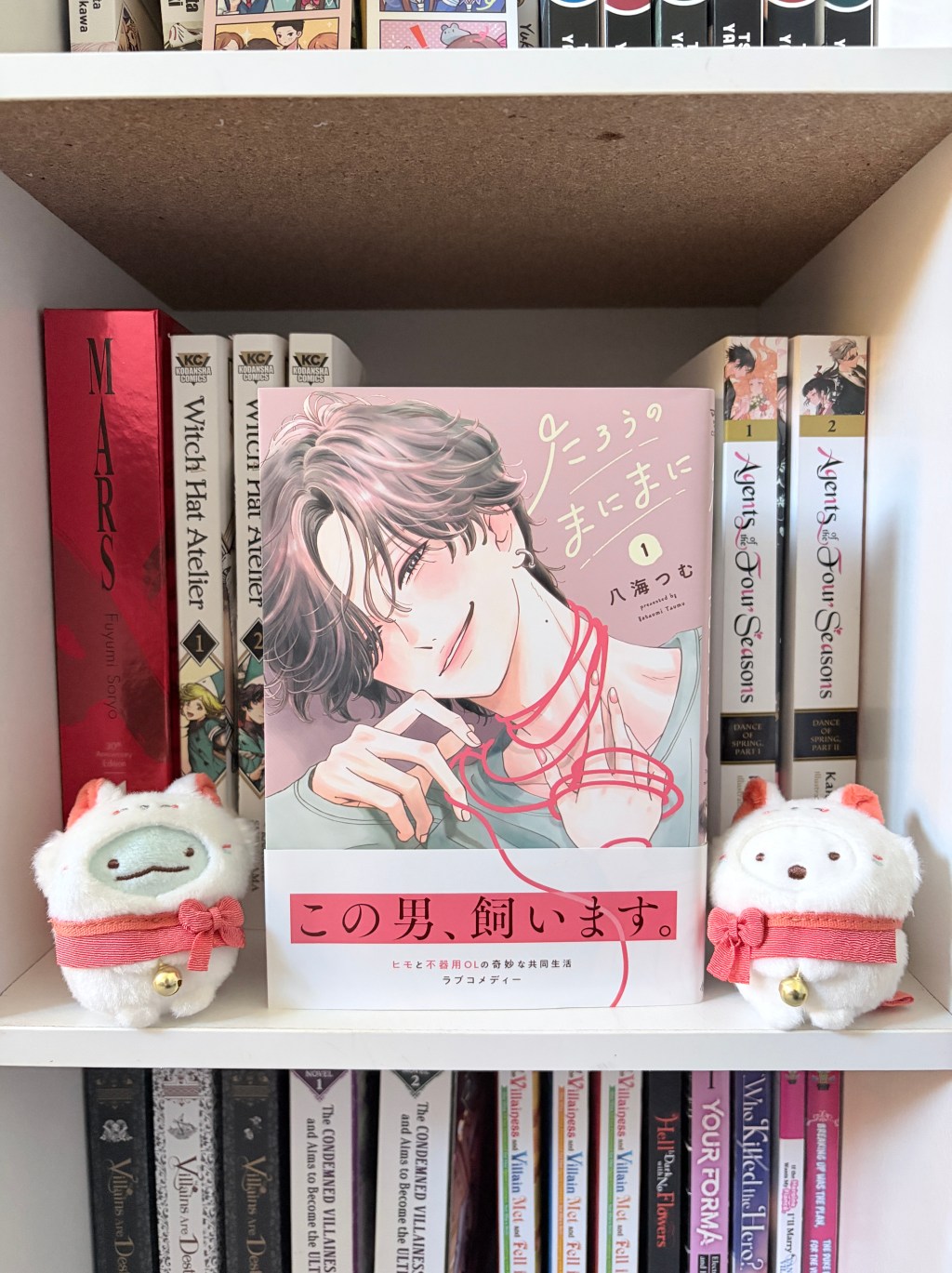 Tarou no Manimani / たろうのまにまに, Volume One&nbsp;Review