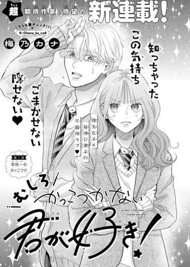 Mushiro Kakkotsukanai Kimi ga Suki! / むしろかっこつかない君が好き！, Chapter One Manga&nbsp;Review
