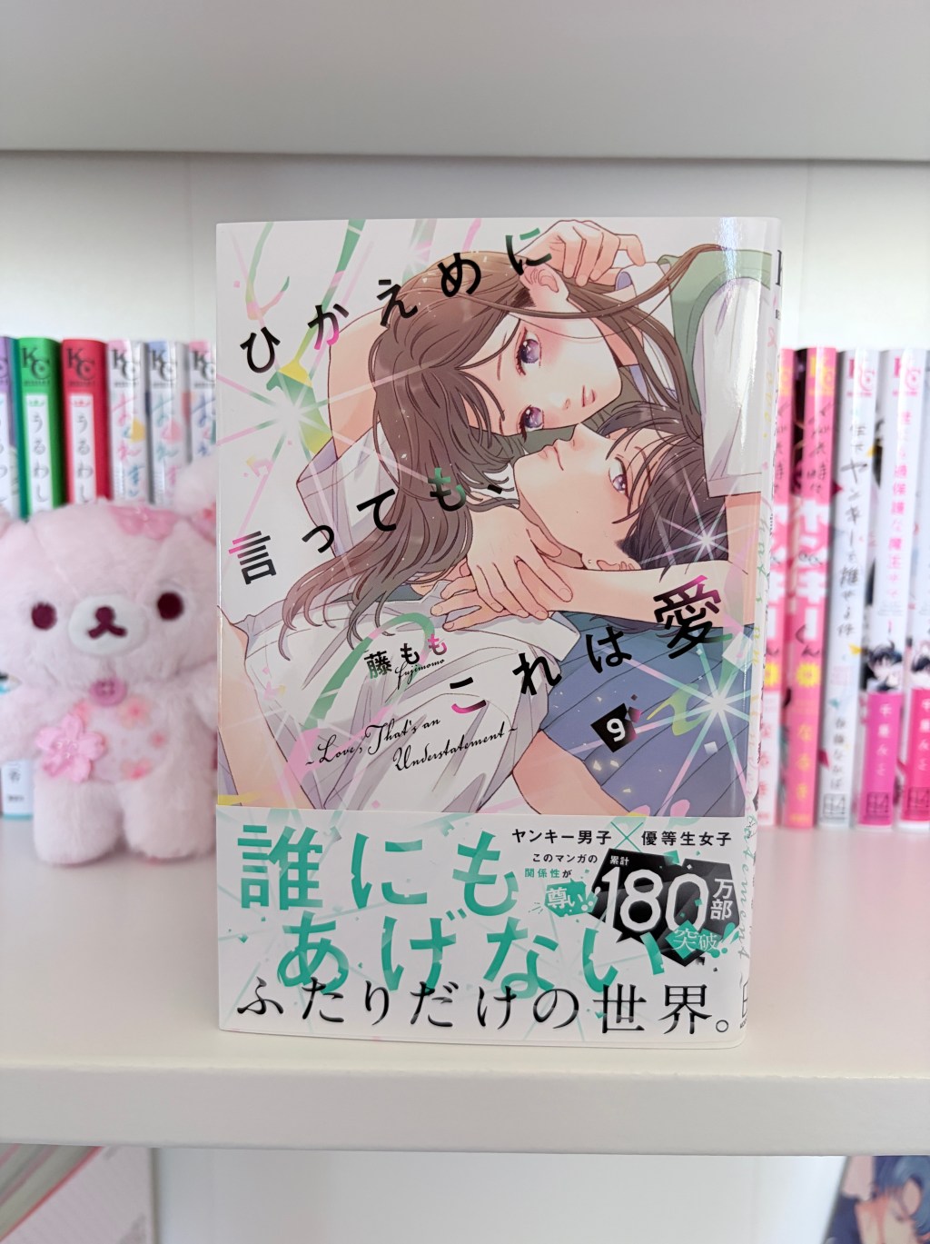Love, That’s an Understatement / ひかえめに言っても、これは愛 – Volume Nine Manga&nbsp;Review